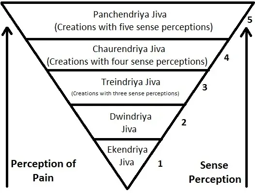 प्राण्यांना इंद्रियांच्या संख्येनुसार वर्गीकृत करणारे आरेखन, एकेंद्रिय वनस्पती व सूक्ष्म जीवांपासून पंचेंद्रिय प्राणी व माणसापर्यंत; यावरूनच कोणता आहार सर्वात कमी हिंसा करतो हे समजावले जाते.