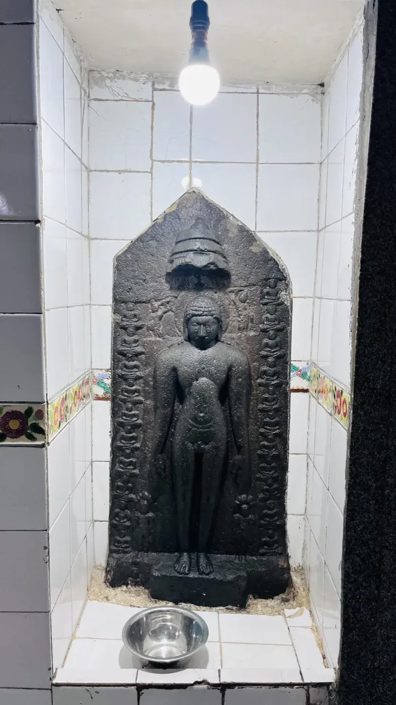 कायोत्सर्ग, अर्थात ध्यान की खड़ी मुद्रा में उत्कीर्ण एक क्षरित श्यामवर्ण तीर्थंकर प्रतिमा, दोनों ओर परिचारक आकृतियों सहित।
